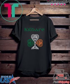 County Kildare Shamrock Ireland Flag, craic and ceol, Gift T-Shirts