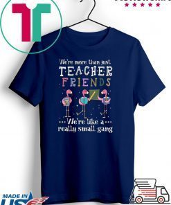 Flamingo We're More Than Just Teacher Friends Gift T-Shirts