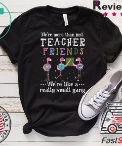 Flamingo We're More Than Just Teacher Friends Gift T-Shirts