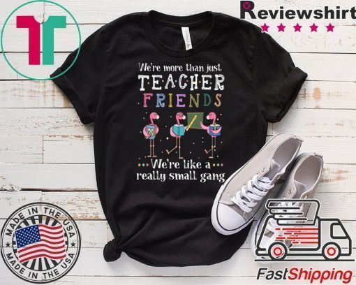 Flamingo We're More Than Just Teacher Friends Gift T-Shirts