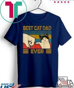 Vintage Best Cat Dad Ever Bump Fit Gift T-Shirt