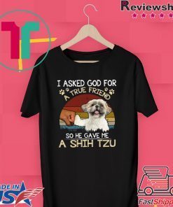 I Asked God For A True Friend So He Gave Me A Shih Tzu Gift T-Shirt