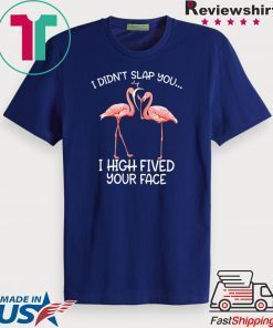 I Didn’t Slap You I High Fived Your Face Gift T-Shirt