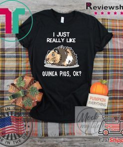I Just Really Like Guinea Pigs, OK Guinea Pig Gift T-Shirts