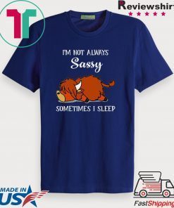 I’m Not Always Sassy Sometimes I Sleep Gift T-Shirt