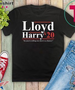 Lloyd and Harry 2020 so you’re telling me there’s a chance Gift T-Shirt