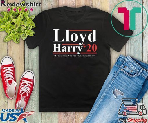 Lloyd and Harry 2020 so you’re telling me there’s a chance Gift T-Shirt