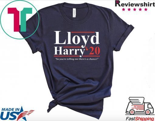 Lloyd and Harry 2020 so you’re telling me there’s a chance Gift T-Shirt