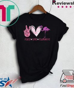 Peace love flamingos Gift T-Shirt0