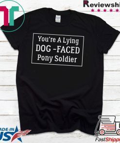 YOU'RE A LYING DOG FACED PONY SOLDIER, Joe Biden Cood Gift T-Shirt