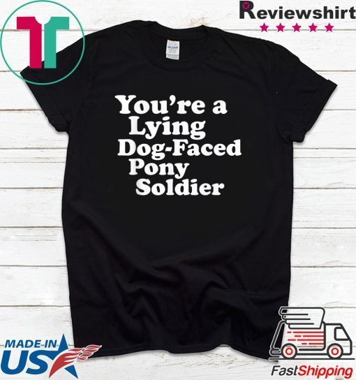 You're a Lying Dog-Faced Pony Soldier Joe Biden Meme Joke original T-Shirt