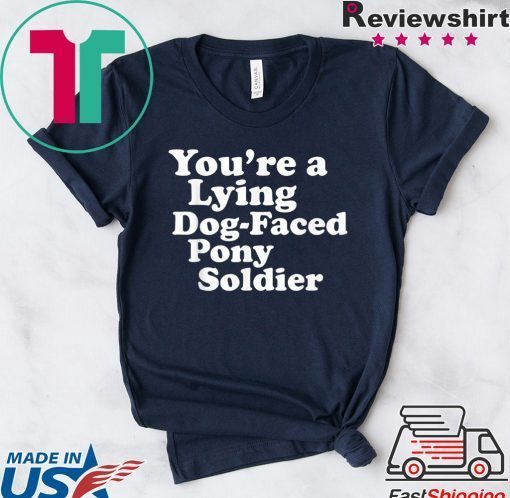 You're a Lying Dog-Faced Pony Soldier Joe Biden Meme Joke Gift T-Shirts