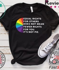 Equal rights for others does not mean fewer righ ts for you it’s not ple Gift T-Shirt