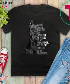 I Have A Dream That One Day I Will Not Be Judged By My Appearance But By The Content Of My Character Gift T-Shirts