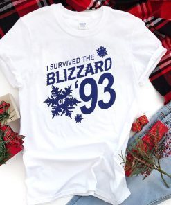 I Survived the Blizzard of 93 Gift T-Shirt
