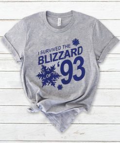 I Survived the Blizzard of 93 Gift T-Shirt