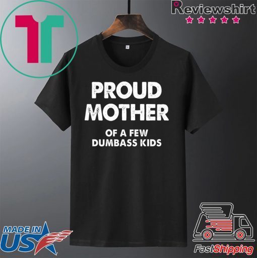 Proud Mother of a Few Dumbass Kids Gift T-Shirt