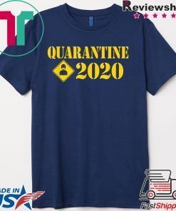 Self Isolation Quarantine 2020 Flu Virus Awareness Gift T-Shirt