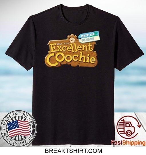 Yeah I Have Excellent Coochie Date Me Please Gift T-Shirt