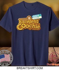 Yeah I Have Excellent Coochie Date Me Please Gift T-Shirt