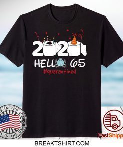 Born in 1955 Birthday Gift Idea 2020 Hello 65 Toilet Paper Birthday Cake Quarantined Social Distancing Classic Gift T-Shirt