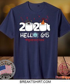 Born in 1955 Birthday Gift Idea 2020 Hello 65 Toilet Paper Birthday Cake Quarantined Social Distancing Classic Gift T-Shirt