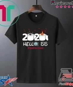 Born in 1965 Birthday Gift Idea 2020 Hello 55 Toilet Paper Birthday Cake Quarantined Social Distancing Classic Gift T-Shirt