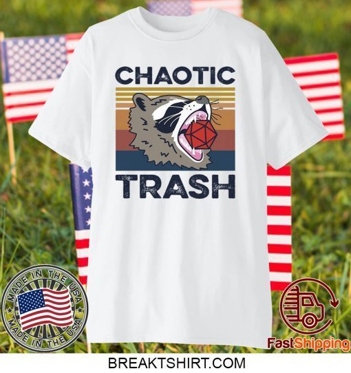 Chaotic Trash Game Raccoon Gift T-Shirt