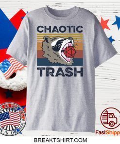 Chaotic Trash Game Raccoon Gift T-Shirt