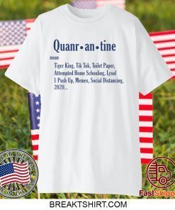 Quarantine Noun Gift T-Shirts