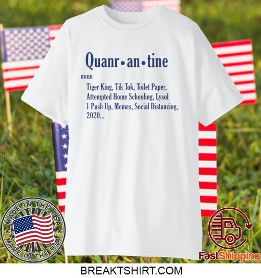 Quarantine Noun Gift T-Shirts