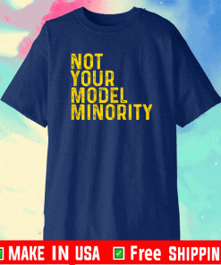 Not Your Model Minority T-Shirt