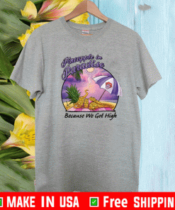 PINEAPPLE IN PARADISE BECAUSE WE GOT HIGH SHIRT