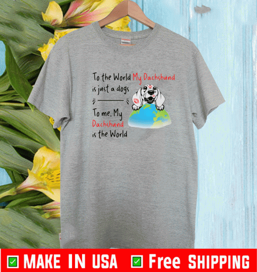 To the world my dachshund is just a dogs to me my dachshund is the world Shirt