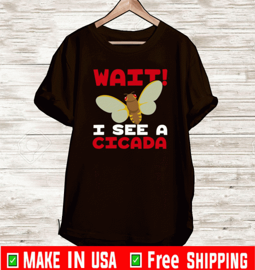 Wait I See A Cicada Bug Brood X 2021 Insect Shirt