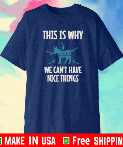THIS IS WHY WE CAN'T HAVE NICE THINGS SHIRT