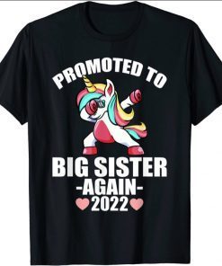 Promoted To Big Sister Again 2022 Shirt, Big Sister Again Tee Shirt