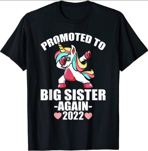 Promoted To Big Sister Again 2022 Shirt, Big Sister Again Tee Shirt