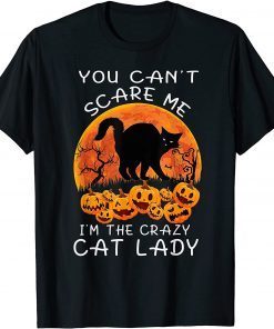 Crazy Cat Lady Halloween Cat Girl Women, Cat Halloween Moon T-Shirt