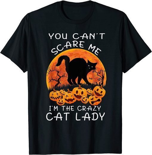 Crazy Cat Lady Halloween Cat Girl Women, Cat Halloween Moon T-Shirt