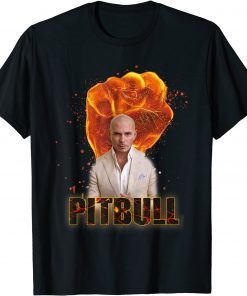 Mr Worldwide Pitbull Singer Merch For Men Youth Women T-Shirt