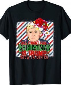 Tee Shirt All I Want for Christmas is Trump back in office Xmas Santa