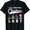 Funny All I Want For Christmas Donald Trump LGBT Christmas Tee Shirts