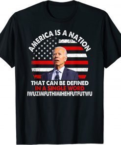 Vintage America Is A Nation That Can Be Defined In Single Word Biden Shirt
