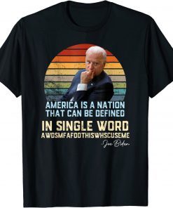 America Nation Defined In A Single Word Biden Funny Humor Gift T-Shirt