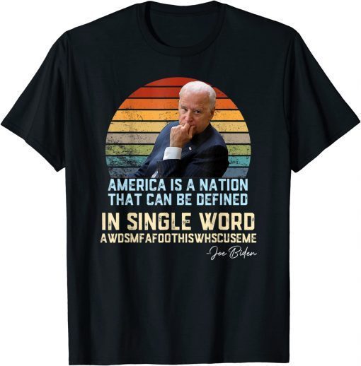 America Nation Defined In A Single Word Biden Funny Humor Gift T-Shirt