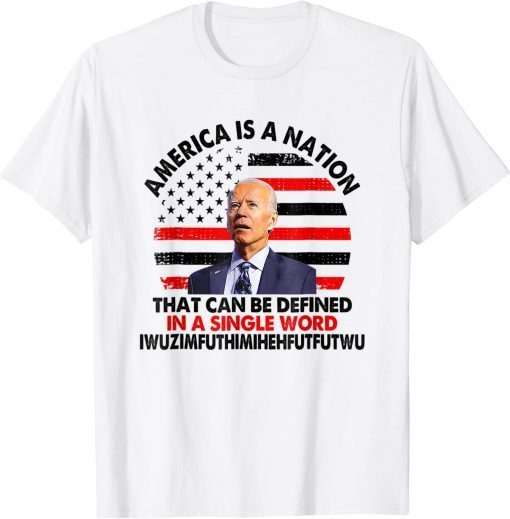 2022 America Is A Nation That Can Be Defined In Single Word Biden Shirt