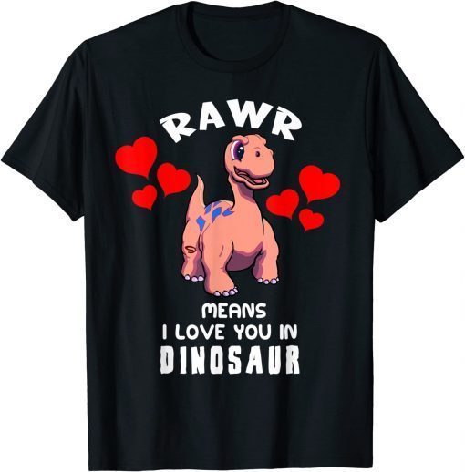 Rawr Means I Love You In Dinosaur Funny T-Shirt