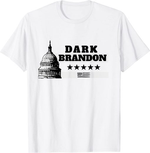 Dark Brandon is Rising Dark Brandon Rises Pro Biden USA Flag Tee Shirt