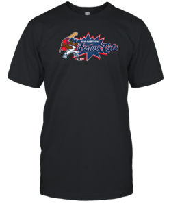 New Hampshire Fisher Cats Defenders of the Diamond Burst T-Shirt